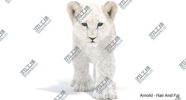images/goods_img/20210312/3D White Baby Lion Animated, Fur/3.jpg